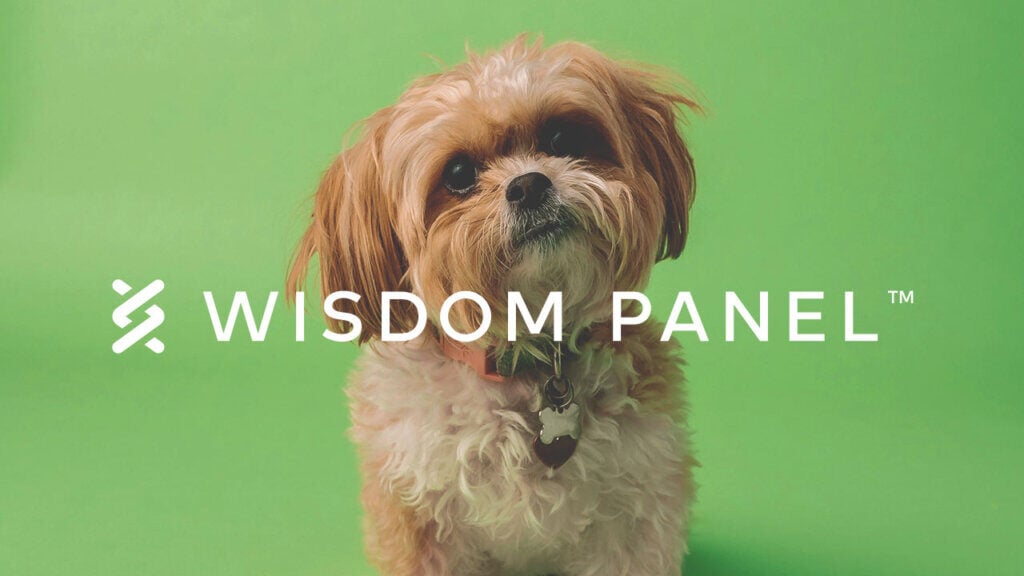 customer-Wisdom-Panel-1024x576